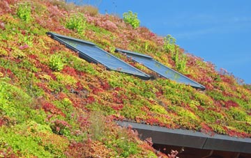 Kimblesworth living roof systems